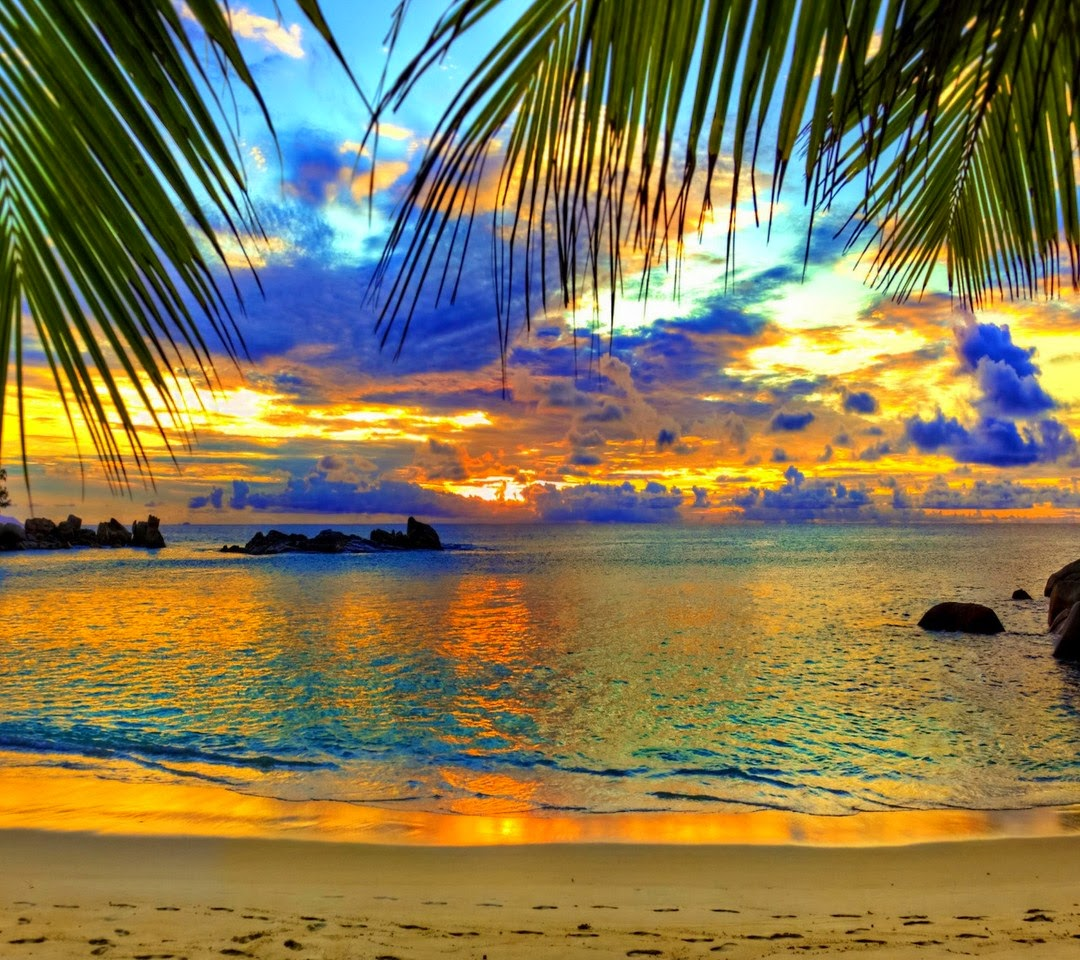 Tropical beach sunset