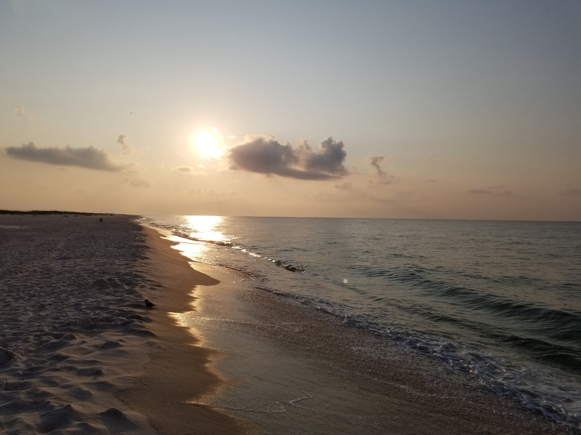 Sunset over the Gulf on Johnson Beach with a shorebird along the surf